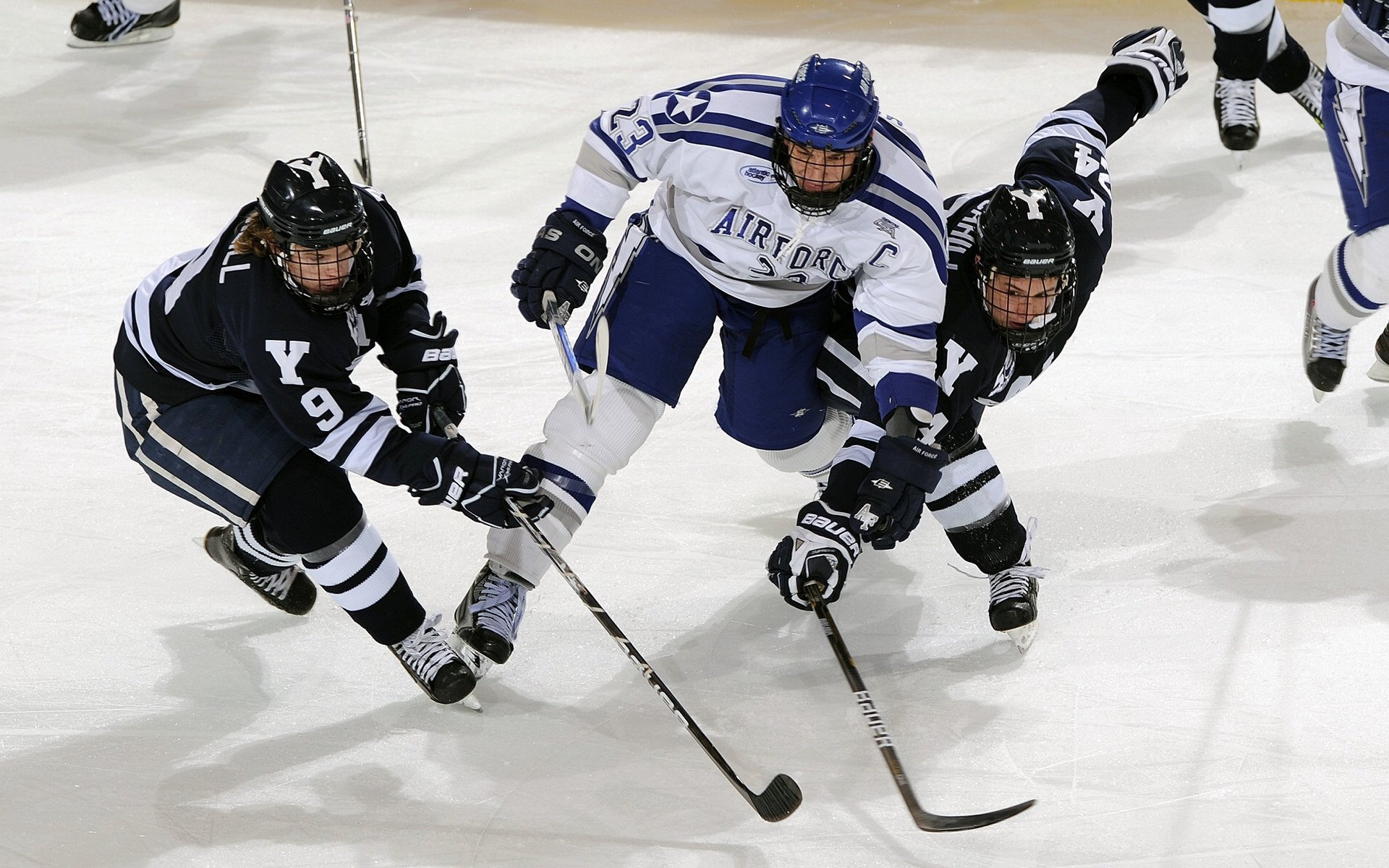 赛场上的“最强防守者”排行榜：谁能扛起球队的最后一道防线？